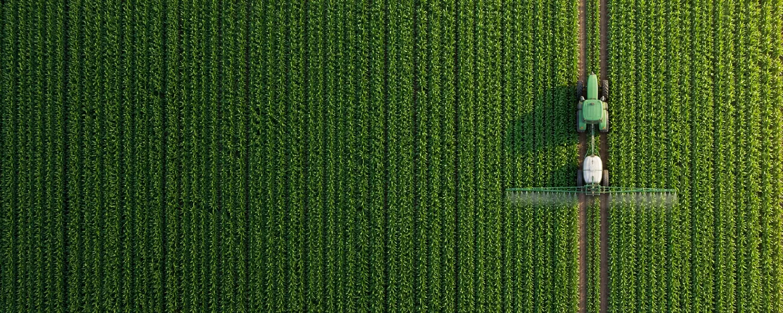 Vista aérea de lavoura com trator pulverizando entre as linhas de cultivo